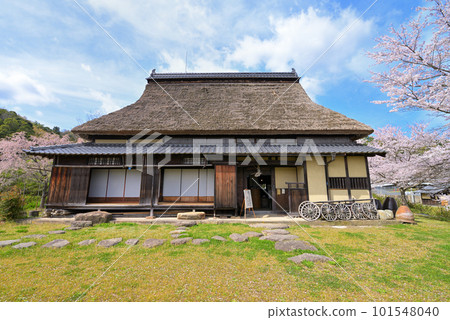 舊長島住宅春天（京都府宮津市） 101548040