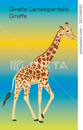 Abstract illustration of Giraffe 101548095