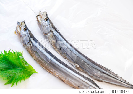 馬林乾米飯 101548484