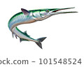 Garfish or Beakfish or Needlefishin motion jumps out of the water. Sea Pike illustration isolate realistic. 101548524