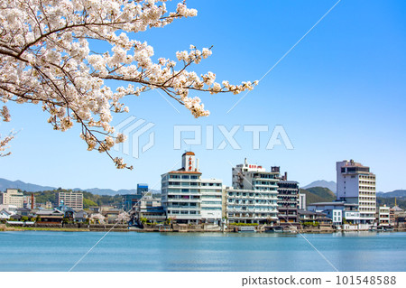 櫻花盛開的三熊川公園和日田沿岸的風景 櫻花盛開的三熊川公園和日田沿岸的風景 101548588