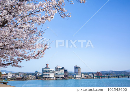櫻花盛開的三熊川公園和日田沿岸的風景 101548600