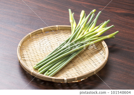Harvested garlic sprouts, garlic sprouts piled up in a colander, healthy vegetables, garlic stalks Harvested garlic sprouts, garlic sprouts piled up in a colander, healthy vegetables, garlic stalks 101548604