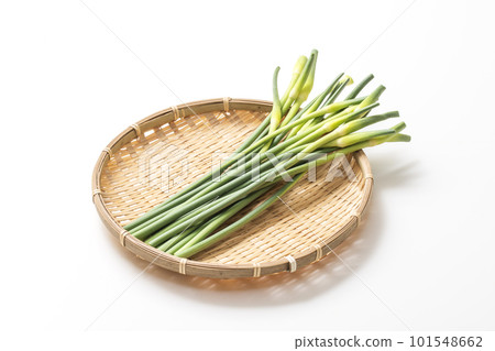 收穫的大蒜芽,大蒜芽堆在漏勺裡,健康蔬菜,大蒜莖 收穫的大蒜芽,大蒜芽堆在漏勺裡,健康蔬菜,大蒜莖 101548662