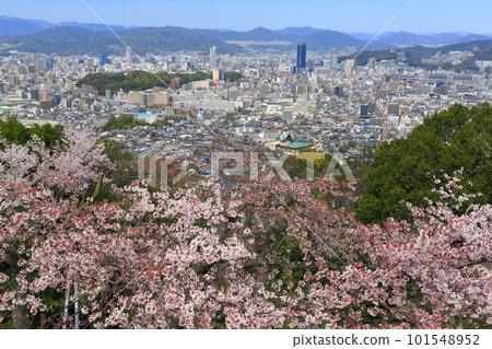 [廣島縣]金山千本櫻和廣島市景 101548952