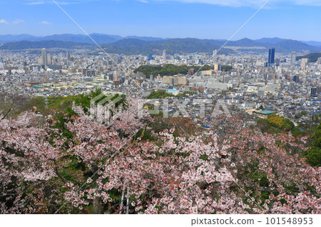 [廣島縣]金山千本櫻和廣島市景 101548953