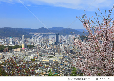 [Hiroshima Prefecture] Senbonzakura at Mt. Kogane and Hiroshima cityscape 101548960