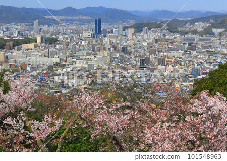 [廣島縣]金山千本櫻和廣島市景 101548963