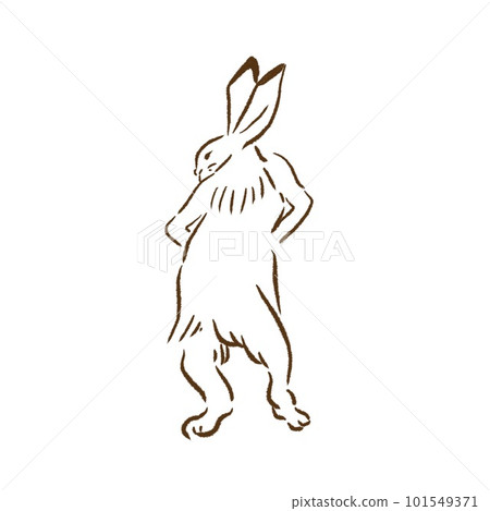 Delicate Skinny Muscle Muscle Rabbit Posing Delicate Skinny Muscle Muscle Rabbit Posing 101549371
