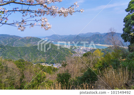 從大師山山頂眺望城崎市景的櫻花季 從大師山山頂眺望城崎市景的櫻花季 101549492