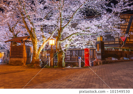 Kinosaki Onsen Tsukimi Bridge area Cherry blossoms in full bloom at night 101549530