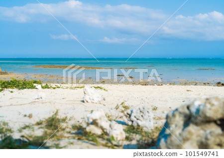Sea of Hyakuna Beach 101549741
