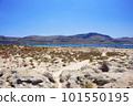The island Gramvousa and the bay Balos 101550195