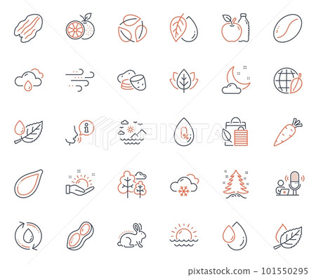 Nature icons set. Included icon as Pecan nut, Rainy weather and Sunset web elements. Pumpkin seed, Refill water, Christmas tree icons. Bio shopping, Night weather, Oil drop web signs. Vector Nature icons set. Included icon as Pecan nut, Rainy weather and Sunset web elements. Pumpkin seed, Refill water, Christmas tree icons. Bio shopping, Night weather, Oil drop web signs. Vector 101550295