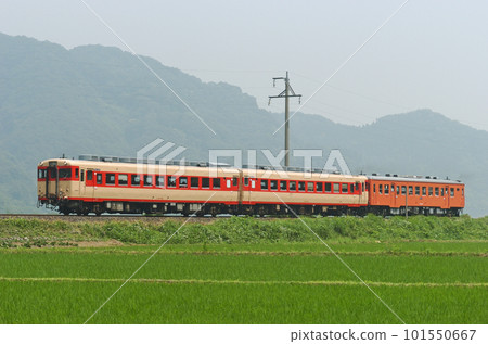 Oito Line Nechi-Kotaki JR West Kiha 58-596 + Kiha 28-2119 + Kiha 52-156 101550667