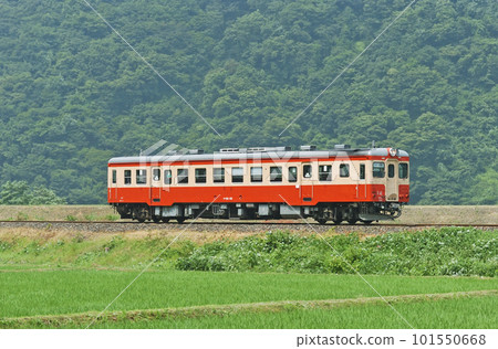 Oito Line Kotaki-Nechi JR West Kiha 52-115 (Itoigawa) 101550668