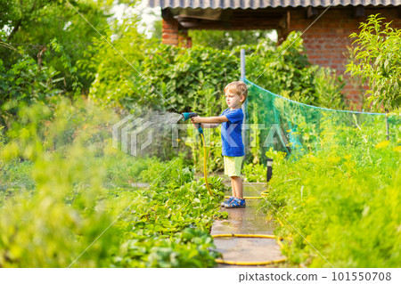 Child watering flowers and plants in garden. Little boy gardening Child watering flowers and plants in garden. Little boy gardening 101550708