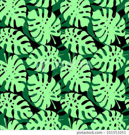 tropical leaves seamless black and green pattern, texture, background tropical leaves seamless black and green pattern, texture, background 101551051