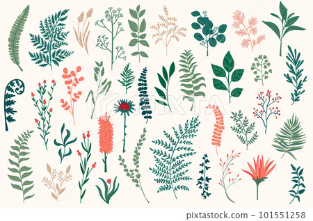 Wildflower decorative elements set. Isolated pack of botanical clipart for Xmas prints. Color branches, flowers and herbs vector illustration. Perfect for Christmas greeting cards and patterns. Wildflower decorative elements set. Isolated pack of botanical clipart for Xmas prints. Color branches, flowers and herbs vector illustration. Perfect for Christmas greeting cards and patterns. 101551258