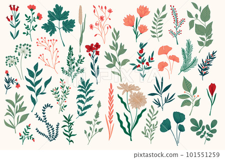 Hand drawn colorful botanical design pack. Perfect for Christmas holidays prints designs. Plants set in sketch style vector illustration. Leaves, wildflower, herbs ornament elements for Xmas postcard. 101551259