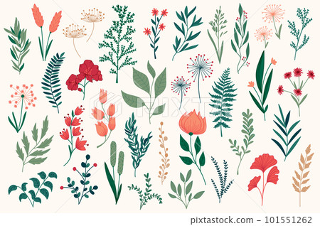Bundle of hand drawn floral decorative elements. Botanical clipart, colorful floral design pack. Leaves, flowers, herbs, branches vector illustration. Perfect for Christmas greeting cards and banners Bundle of hand drawn floral decorative elements. Botanical clipart, colorful floral design pack. Leaves, flowers, herbs, branches vector illustration. Perfect for Christmas greeting cards and banners 101551262