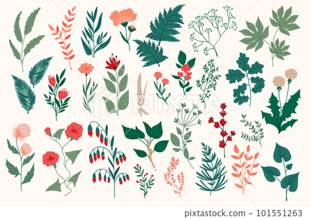 Wildflower decorative elements set. Colorful flowers, branches and herbs vector illustration. Isolated pack of botanical clipart. Perfect for Christmas invitations, greeting cards, posters, prints. 101551263
