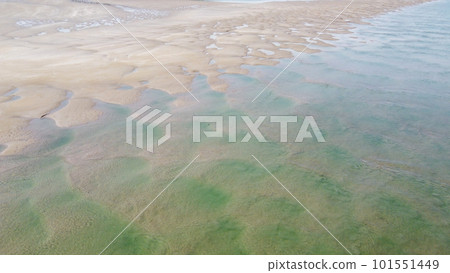 Wet beach sand at low tide, top view. Unusual sandy texture. 101551449