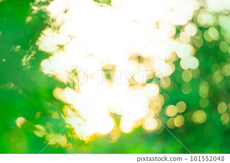 Colorful green defocused texture for your design. Blurred green natural background with bokeh Colorful green defocused texture for your design. Blurred green natural background with bokeh 101552048