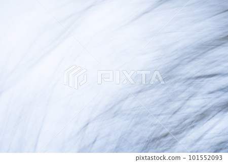 Blurred motion background of bare tree branches on a pale white background 101552093