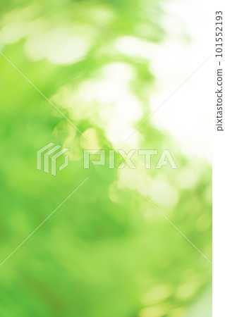 Bokeh green nature background. Beautiful green bokeh Bokeh green nature background. Beautiful green bokeh 101552193