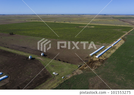 Silo bag, grain storage in La Pampa, Argentina 101553275