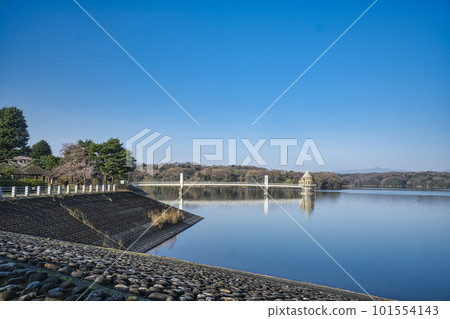 櫻花盛開時晴朗天氣下的狹山湖湖面和取水塔 櫻花盛開時晴朗天氣下的狹山湖湖面和取水塔 101554143
