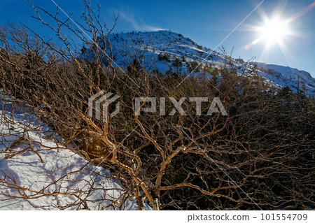 天狗山，八嶽山脈，從中山嶺附近冒出濃煙 101554709