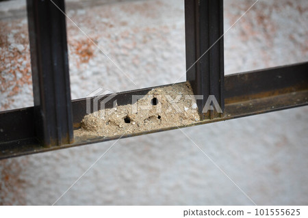 earthen beehive 101555625