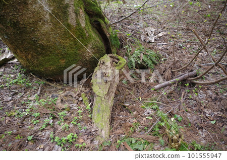 Directions to the sky Directions to the sky 101555947