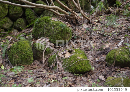 通往天空的方向 通往天空的方向 101555949
