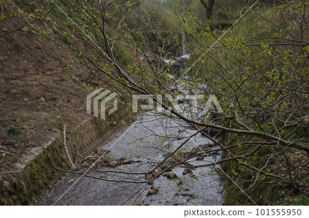 通往天空的方向 101555950