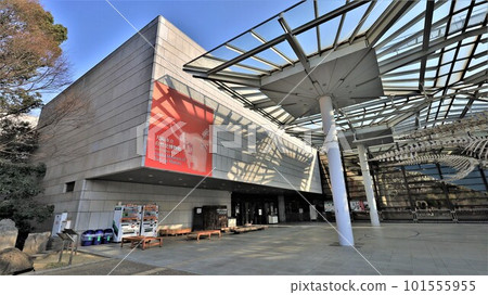 Osaka City Museum of Natural History (Higashisumiyoshi Ward, Osaka City, Osaka Prefecture) Osaka City Museum of Natural History (Higashisumiyoshi Ward, Osaka City, Osaka Prefecture) 101555955