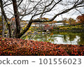 滋賀縣琵琶湖文化公園深秋風光 101556023