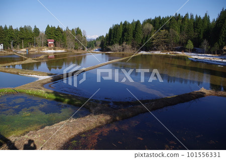 Living in terraced rice fields 101556331