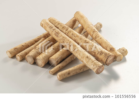 Fresh and delicious burdock 101556556