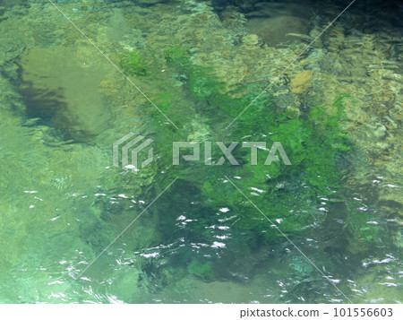 Emerald green clear waterfall basin 101556603