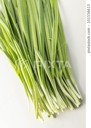 fresh and delicious chives 101556613