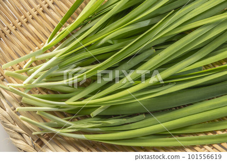 fresh and delicious chives fresh and delicious chives 101556619