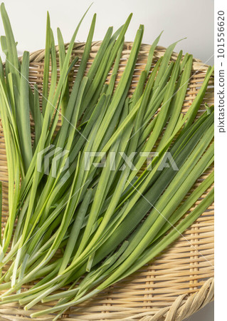 fresh and delicious chives 101556620