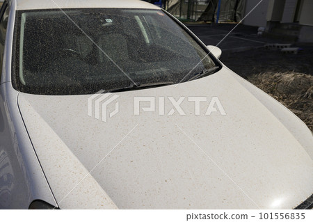 Yellow sand and dirty car Yellow sand and dirty car 101556835