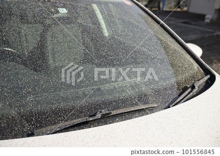 Car glass dirty with yellow dust Car glass dirty with yellow dust 101556845