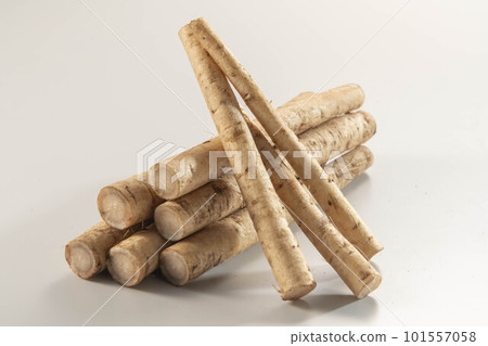 新鮮美味的牛蒡 101557058