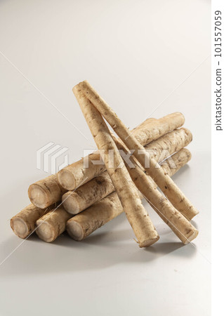 Fresh and delicious burdock Fresh and delicious burdock 101557059