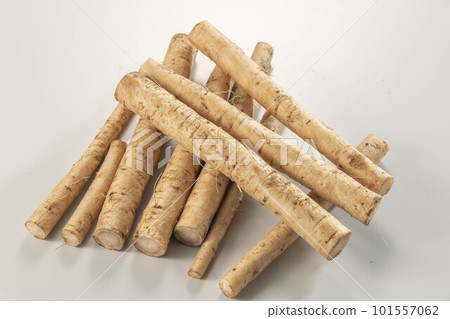 Fresh and delicious burdock Fresh and delicious burdock 101557062